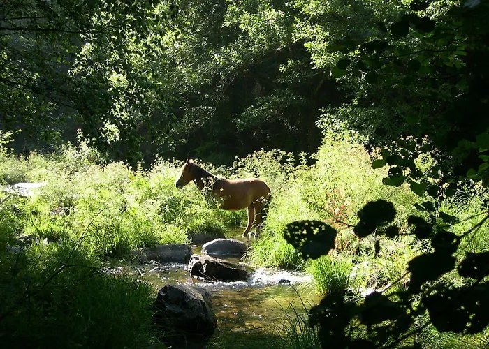 Сasa de vacaciones Casa Viduedo *